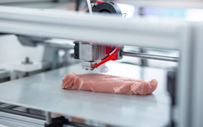 L’importance d’une dénerveuse à viande pour les professionnels de la restauration