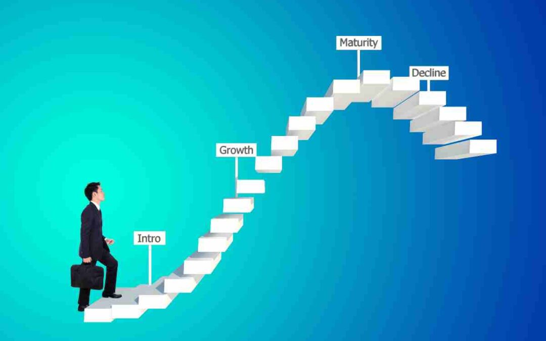 Les étapes du cycle de vie d’une entreprise