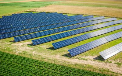 Combien peut rapporter 100 m² de panneaux solaires ?