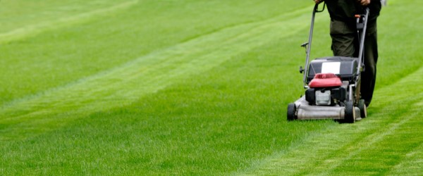 Est il possible de bénéficier d’un crédit d’impôt pour la tonte de pelouse par un auto entrepreneur