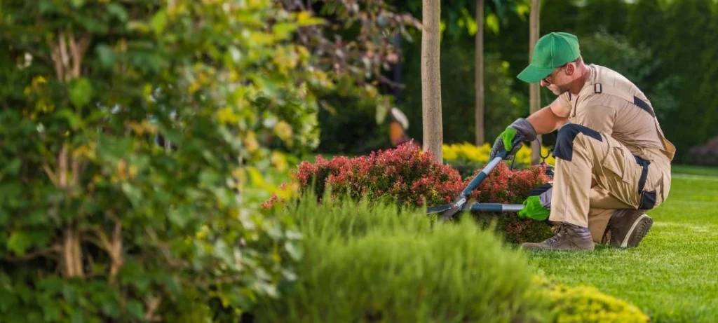 Quels facteurs peuvent faire varier le prix de la tonte de pelouse
