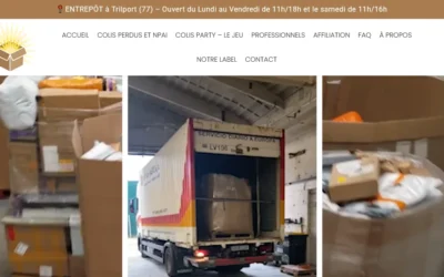 Colisnpai.com avis fiable ou risqué selon les retours clients