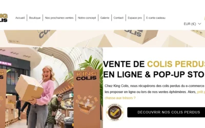 King colis avis fiable ou trop aléatoire